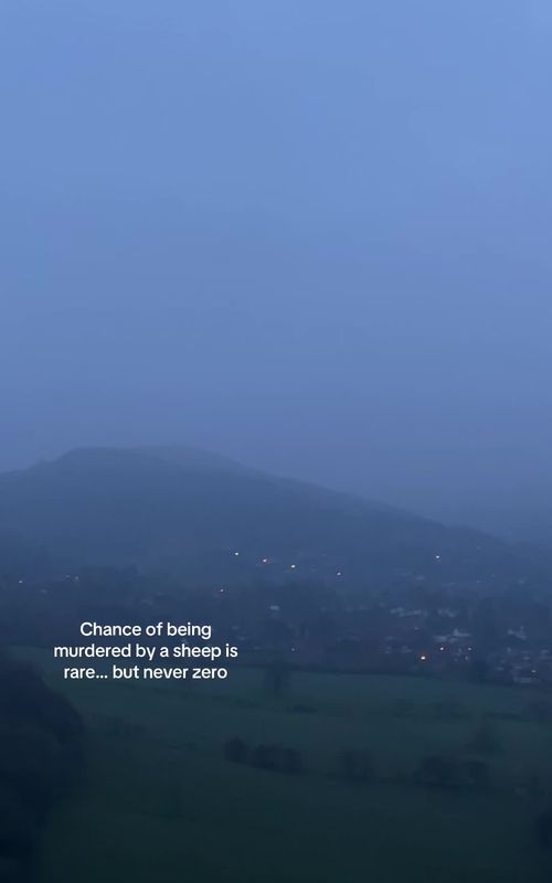 Abit of a stand off… 🐑 #Hiking #Outdoors #adventure #wildlife #solo