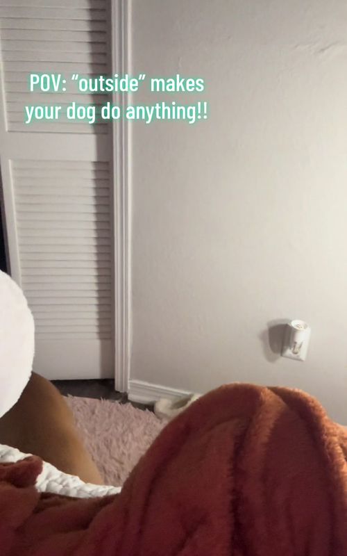 Being a dog mom 🤦🏼‍♀️🤦🏼‍♀️ ! #fyp #foryoupage #dogmom #dog 