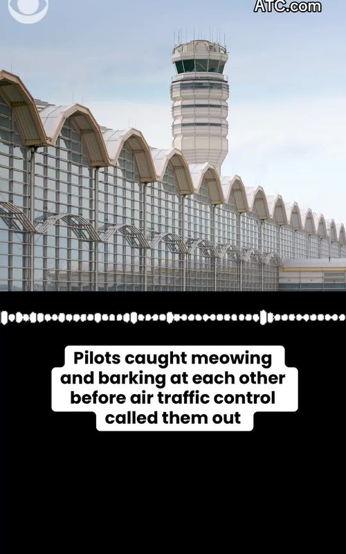 Two pilots appeared to make meowing noises and dog barks as they communicated with each other before air traffic control at Ronald Reagan Washington National Airport called them out on Sunday. "You guys, you need to be professional," an air traffic controller is heard saying. #pilots  