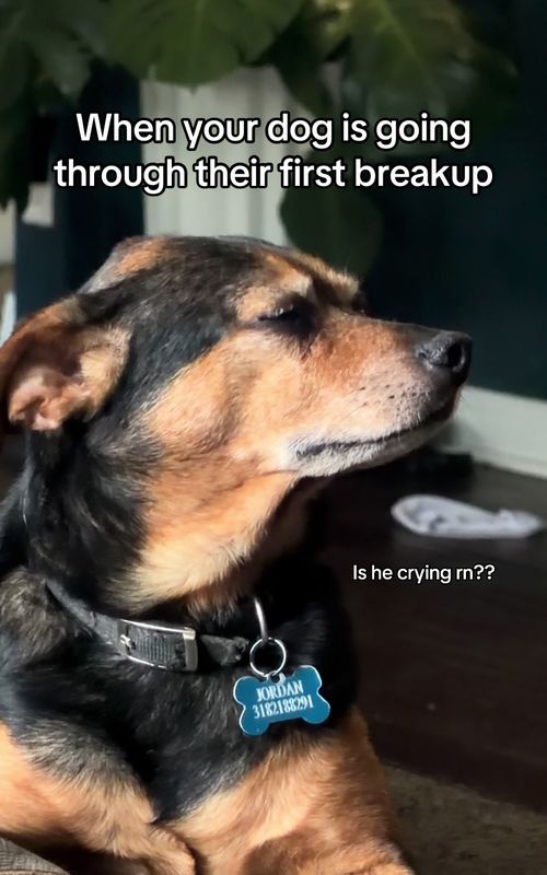 He goin through it rn #breakup #Love @Keyshia Cole 