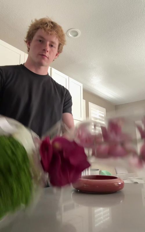 Went to Trader Joe’s to look and flowers and ended up buying these guys #fyp #viral #trending #flowers #floral 