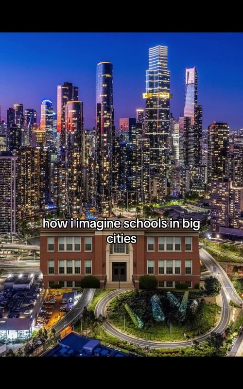 what is this audio 😭 #camidugacita #school #schoolsinbigcities #tuff #funny