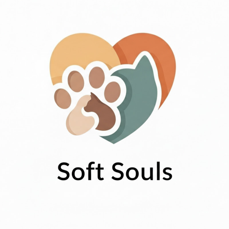 Soft Souls