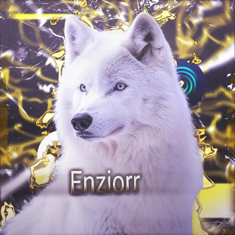 Enziorr