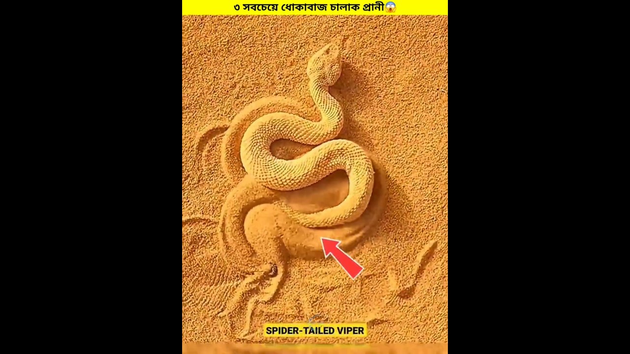 3  Cunning Hunting Animals in the World || #shorts #shortvideo