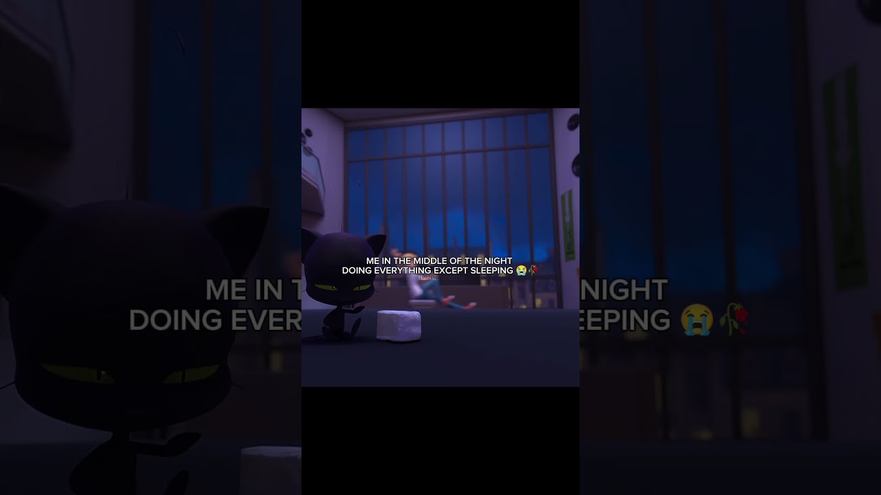 WHO'S SLEEP #miraculous #saludamemarinette #miraculousladybug #marinetteyadrien #ladybug #marinette