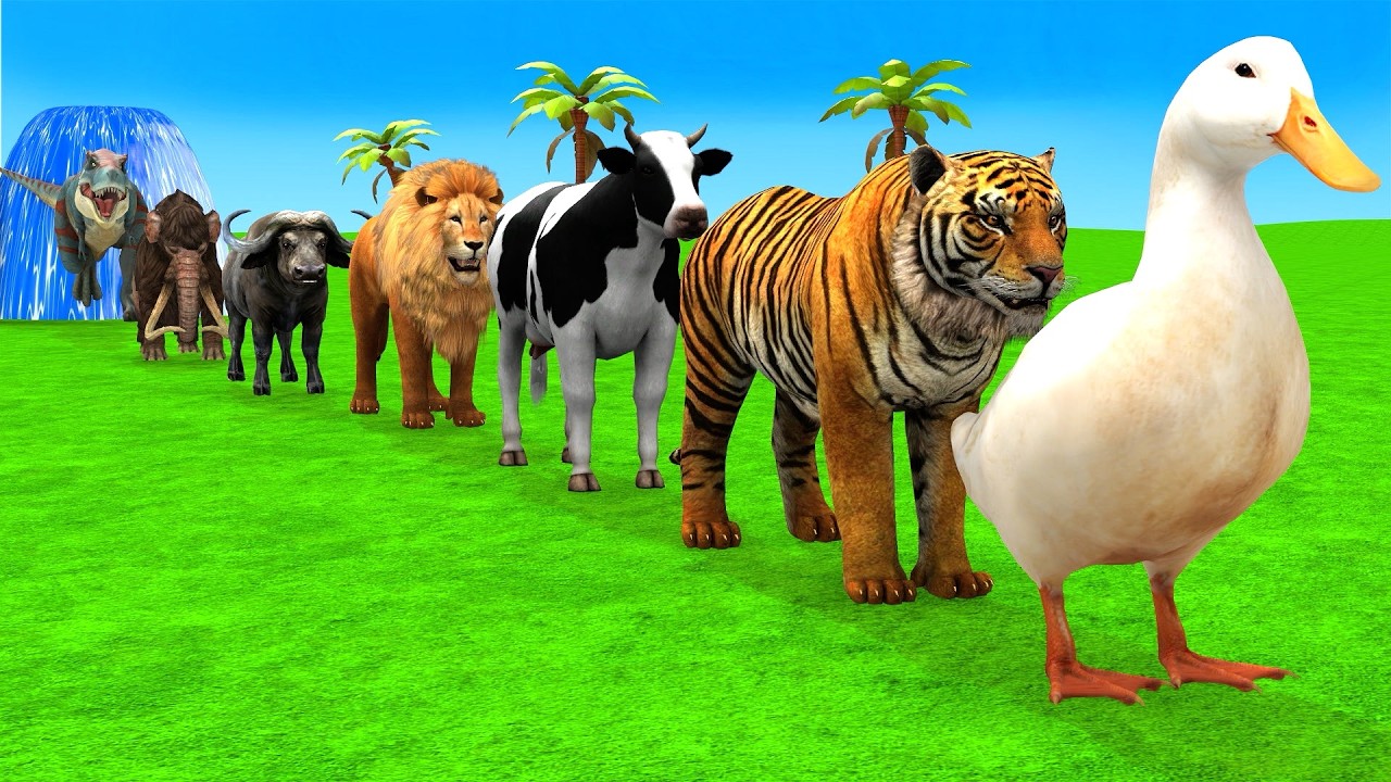 Long Slide Game With Cow Elephant Gorilla Hippopotamus Tiger 3d Animal Game Funny 3d Animals