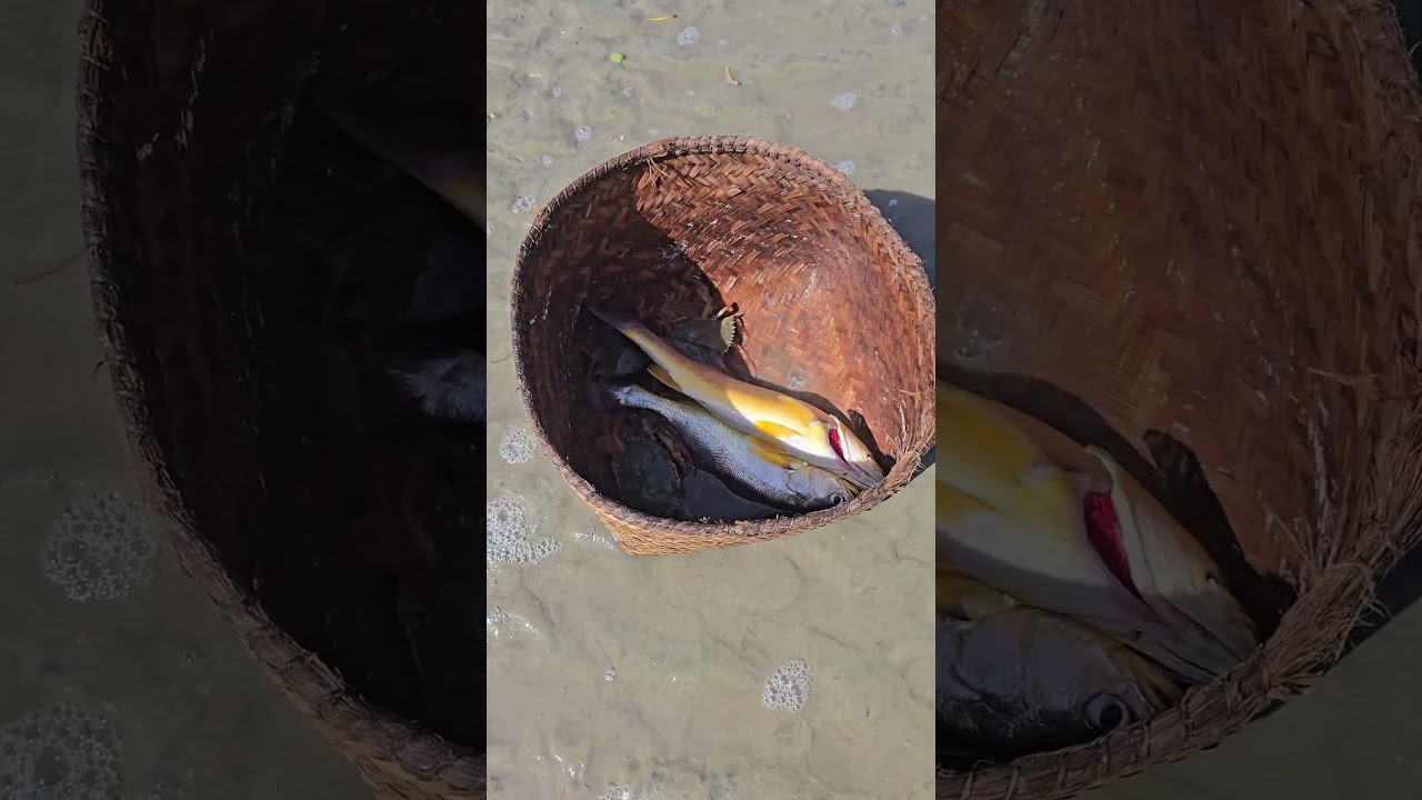 mariscando na croa