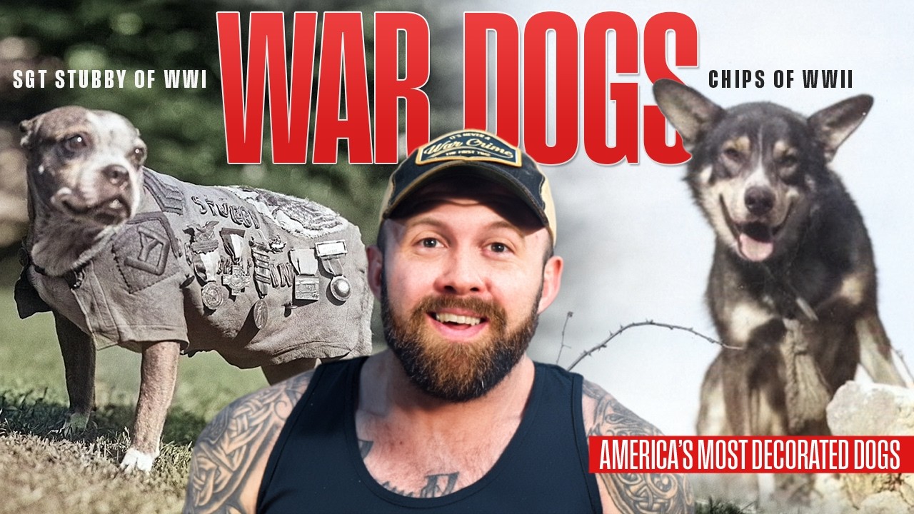 America's Top Dogs - Sgt. Stubby & Chips
