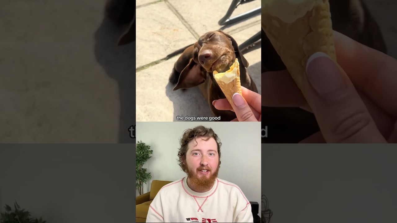 Top 5 Dogs of the Week
