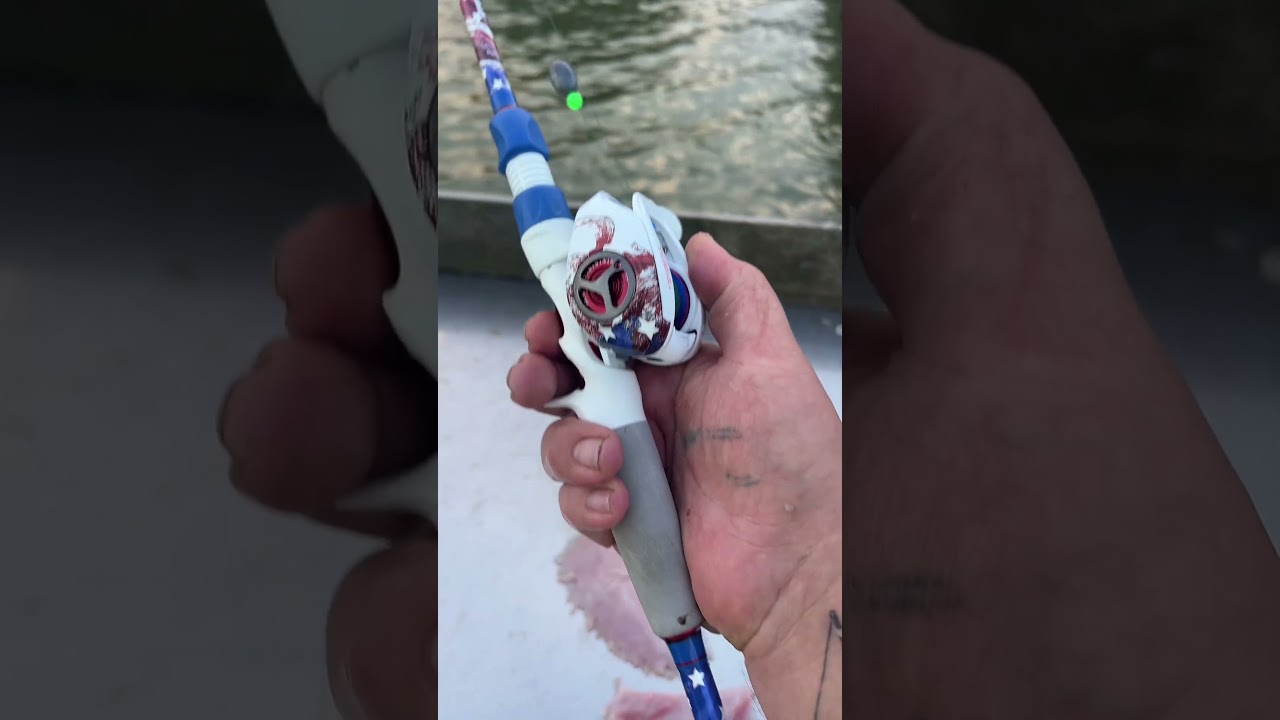 Cooking a stingray #fishing #cooking #outdoors #kastking
