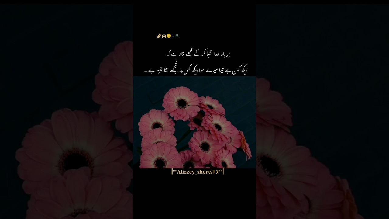 Allah Is Enough 🩹❤️ #UrduPoetry #UrduQuotes #IslamicQuotes #TrustAllah #Tawakkul #Faith #Sabr #Hope