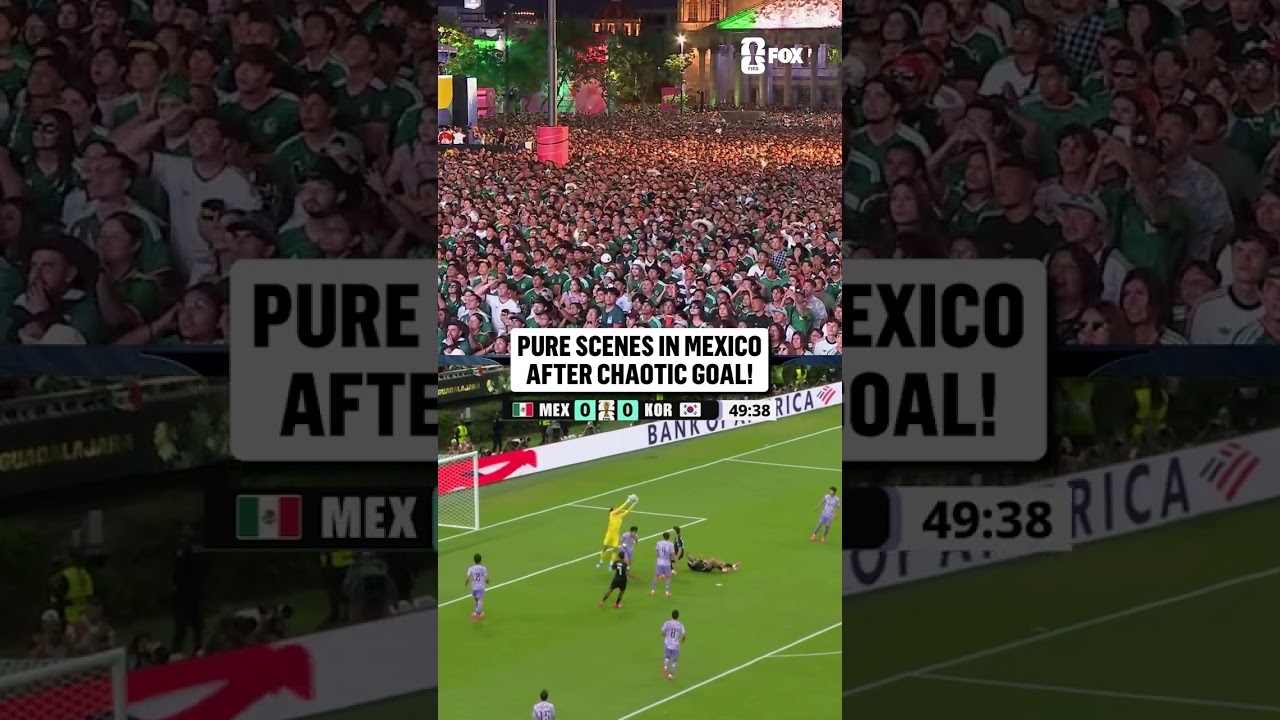 INSANE REACTION TO MEXICO'S FIFA WORLD CUP GOAL