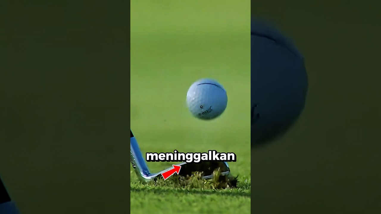 Kenapa Pemain Golf Selalu Memperbaiki Rumput Setelah Memukul? ⛳