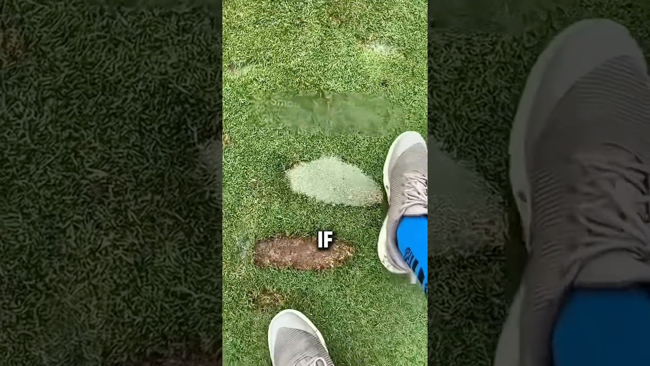 Why Golfers Fill Their Divots With Sand ⛳ The Secret to Protecting Golf Courses!