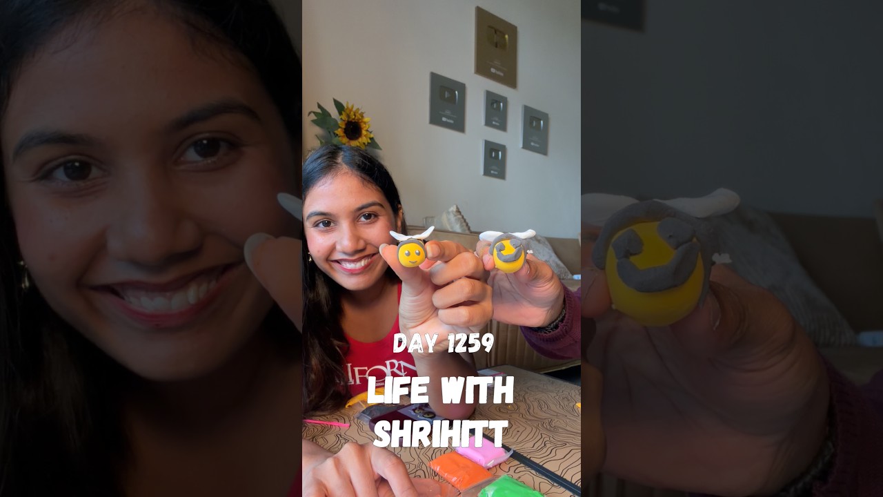LWS day 1259/10000 #shrihitt #vlog