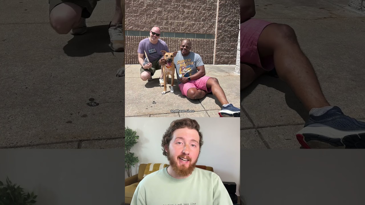 Top 5 Dogs of the Week